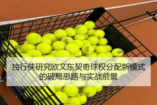 独行侠研究欧文东契奇球权分配新模式的破局思路与实战前景