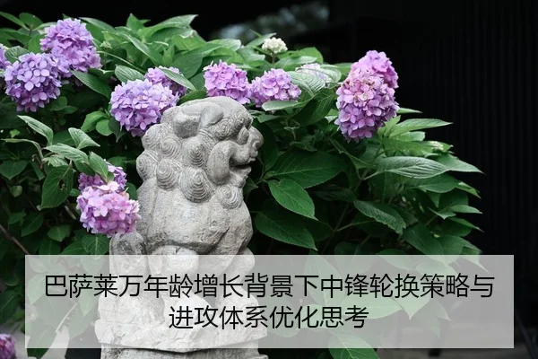 巴萨莱万年龄增长背景下中锋轮换策略与进攻体系优化思考